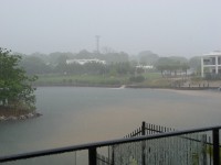 View from my office during a steamy tropical storm